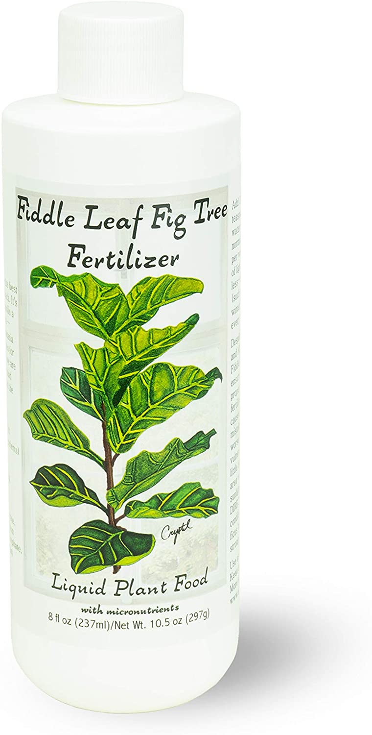 10 Best Fiddle Leaf Fig Fertilizers in 2022 Reviews and Top Picks