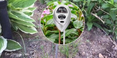 8 Best Soil Ph Testers For Your Gardening Needs – [Top Picks & Reviews in 2023]