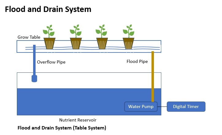 A flood and drain system