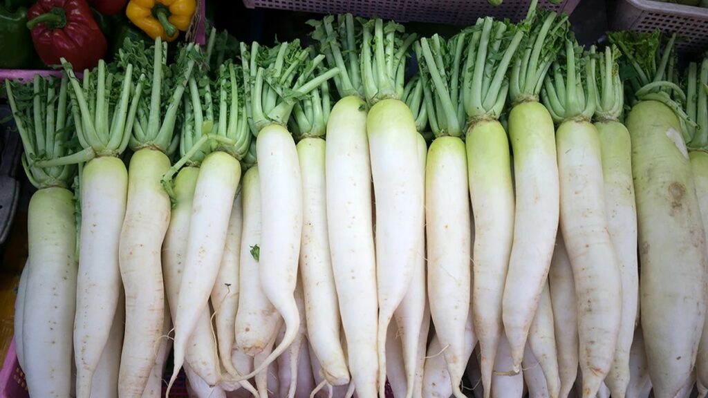 Daikon radish