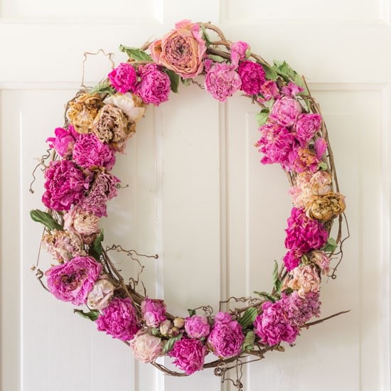 Dried peony wreath