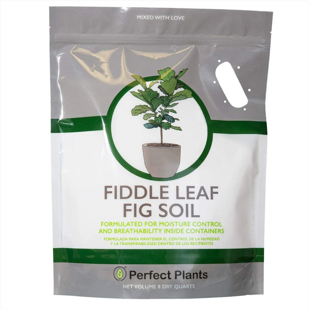 Fiddle Leaf Fig Soil by Perfect Plants Review