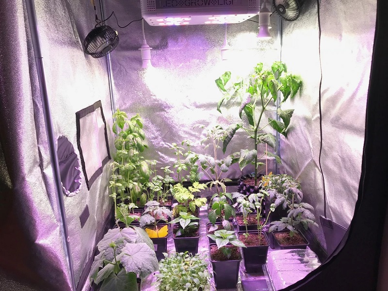 Growing tent
