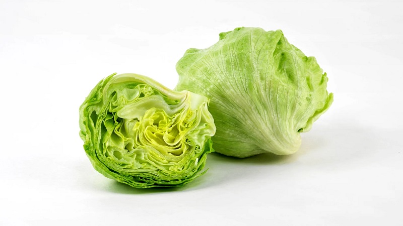 Iceberg lettuce