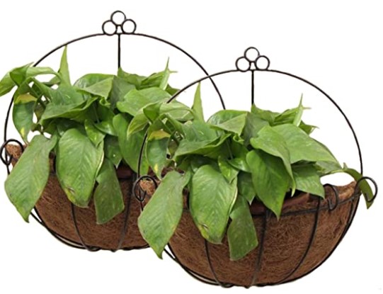 Planter basket with coco liner