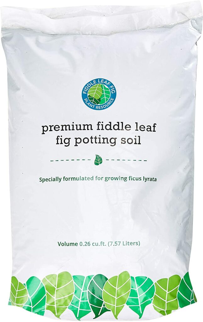 Premium Fiddle Leaf Fig Tree Potting Soil Review