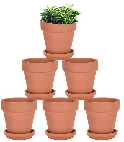 4-Inch Terra Cotta Pots with Saucer review