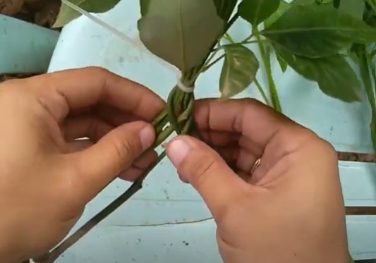 Actual braiding technique

