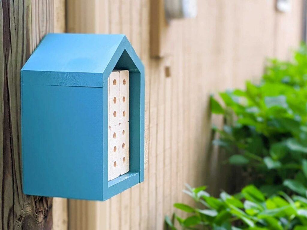 Bee hotels for carpenter bees