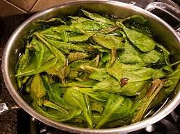 Boiling pokeweeds
