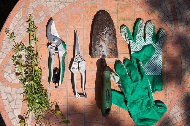 Disinfecting garden tools