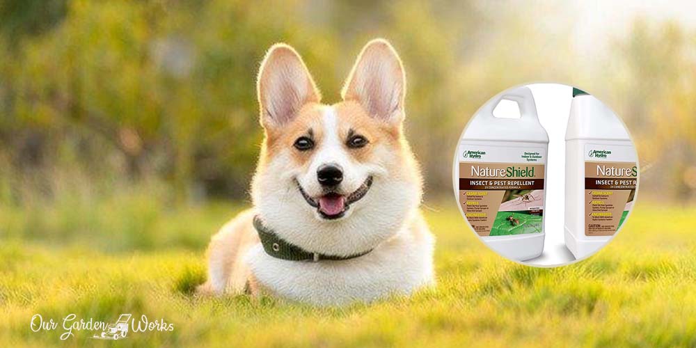 Insect Killer For Lawns Safe For Pets - Reviews & Top Picks