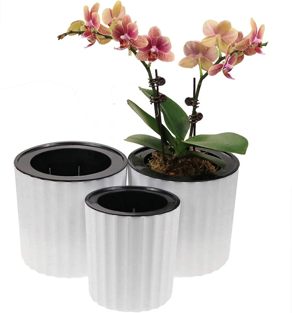 MUZHI Orchid Pot review