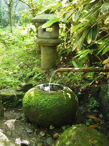 Moss on stone water reservoir