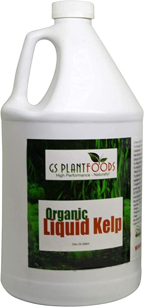 Organic Kelp Fertilizer by GS Plant Foods
