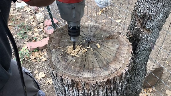  Removing a stump