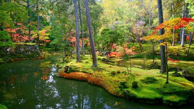 Saihō-Ji or Kokedera - moss garden in Japan