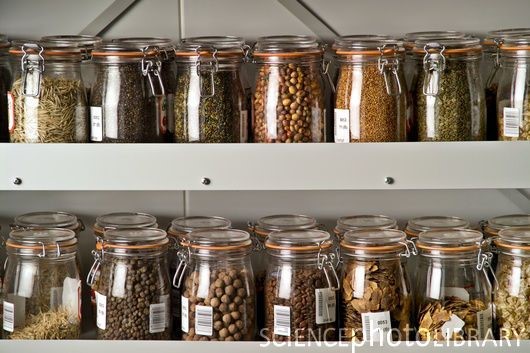 Seed jars