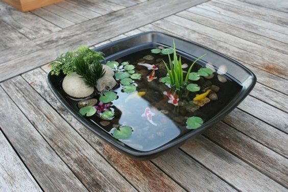 A beginner-friendly square container water garden.
