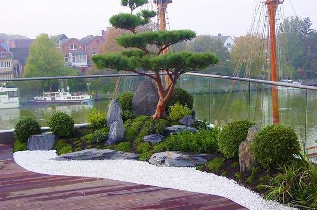 A bonsai-style pine tree adding a zen vibe next to a wooden patio