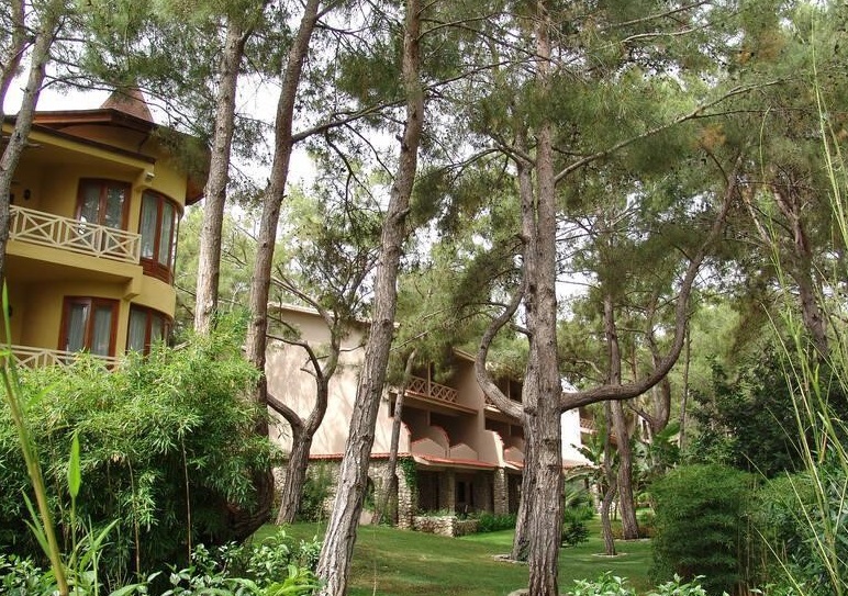 A mini garden with pine trees next to two apartment complexes