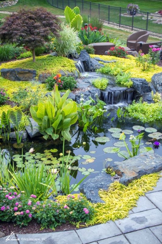 A mountain-top-inspired water garden with a fairytale-like ambiance.