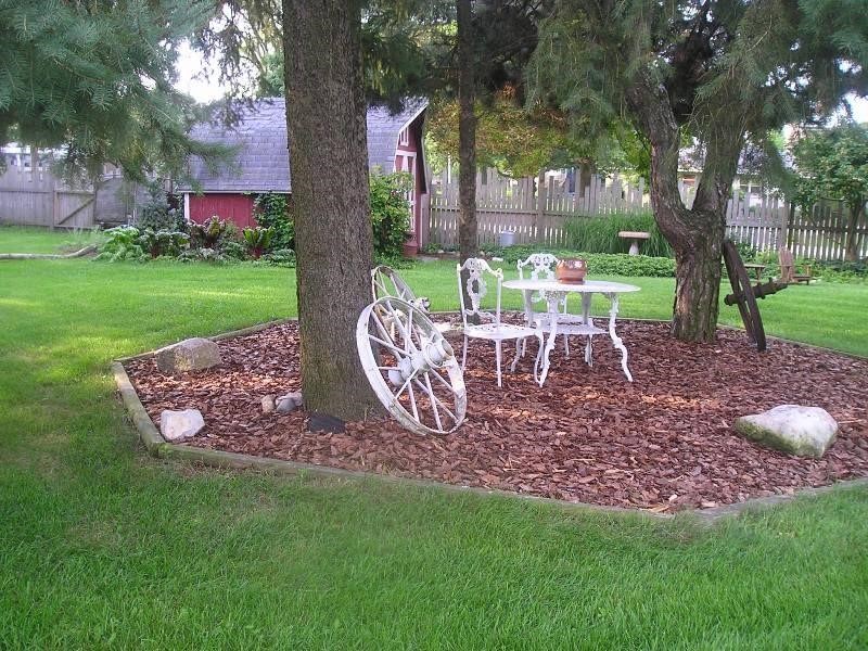 A mulched sitting area under two mature pine trees