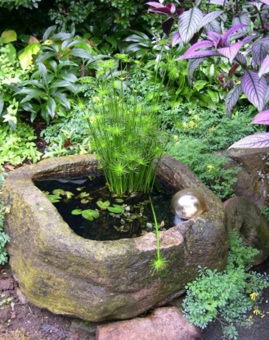 A rare carved stone water garden design highlighting the beauty of dwarf bulrush.
