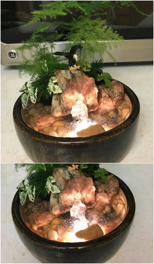 A stone bowl with rock ornaments, 
a mini fountain, and exotic aquatic plants.

