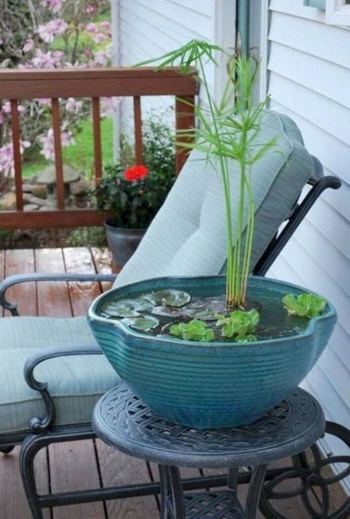 A tabletop water garden composed of 
water cabbage, umbrella grass, and lilies. 
