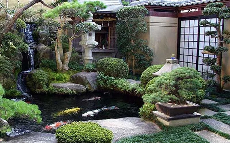 A traditional Japanese water garden.