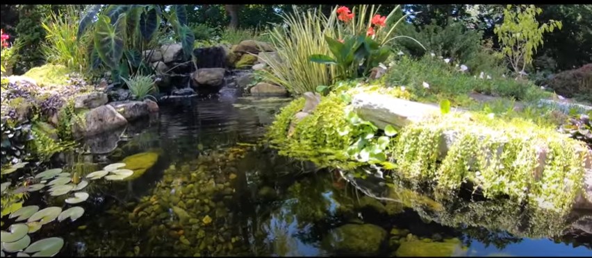 A traditional pond-like water garden with clear flowing water.