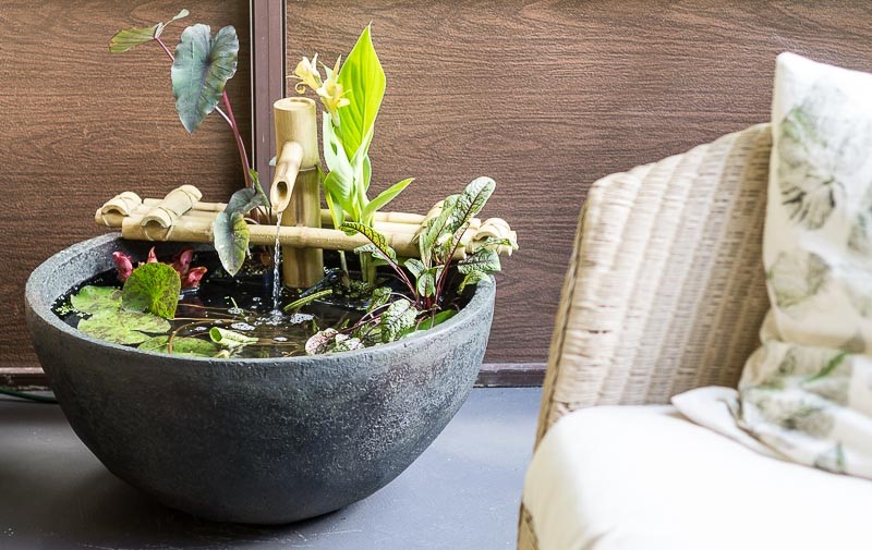 An indoor water garden in a stone bowl designed with a flowing bamboo fountain and marginal plants like elephant’s ears and floating plants.