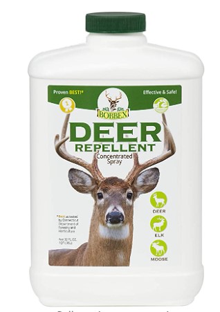 Commercial deer repellent