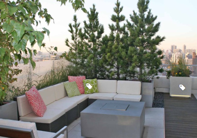 Container pine trees giving rooftop shade on the sitting area