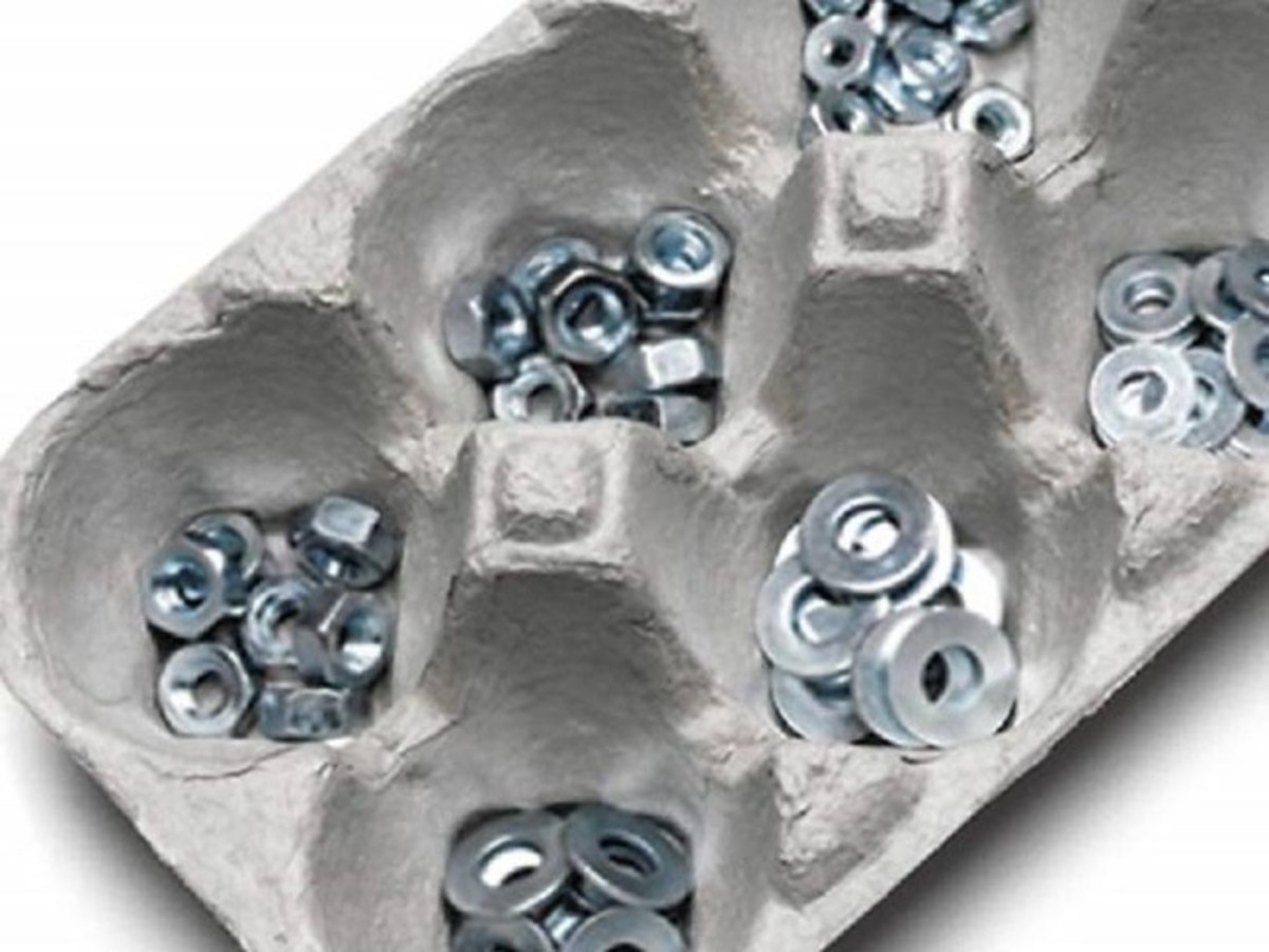 Can You Compost Egg Cartons & Is It Safe To Add To The Bin?