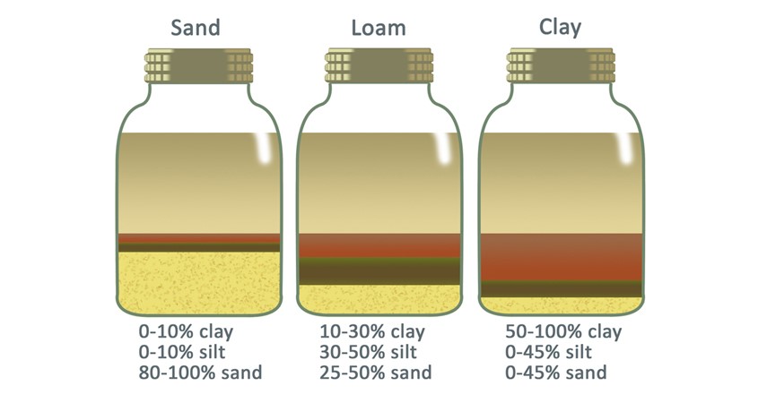 How to do a soil test at home