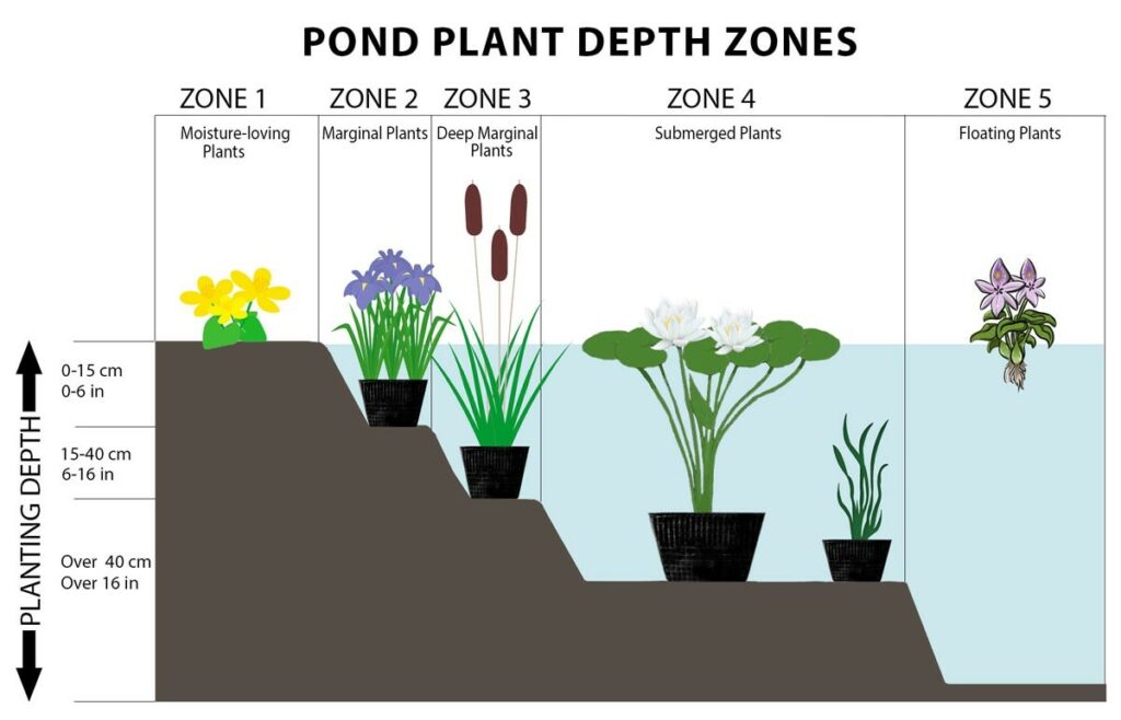 Hydrosphere water gardens