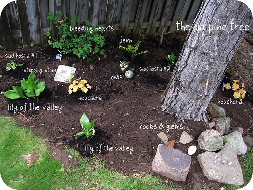 Landscaping-pine-trees-with-other-shade-loving-plants