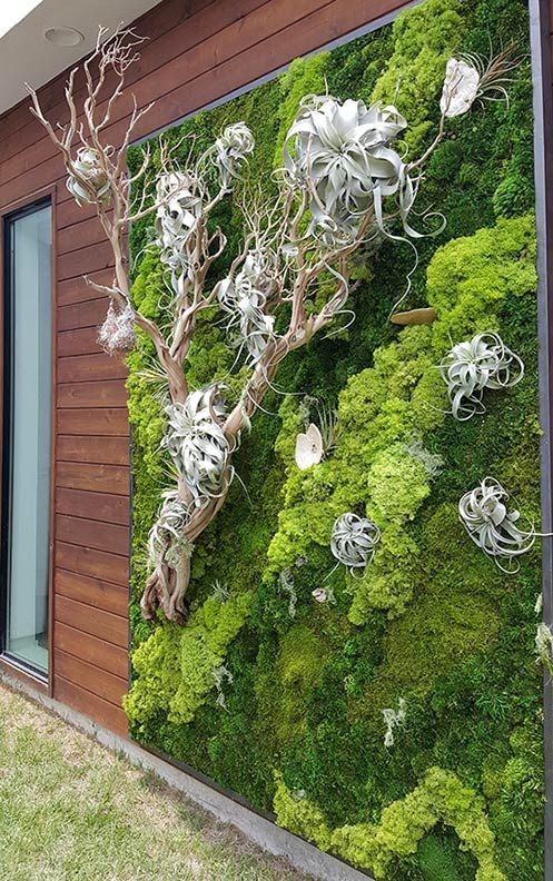 Live moss walls