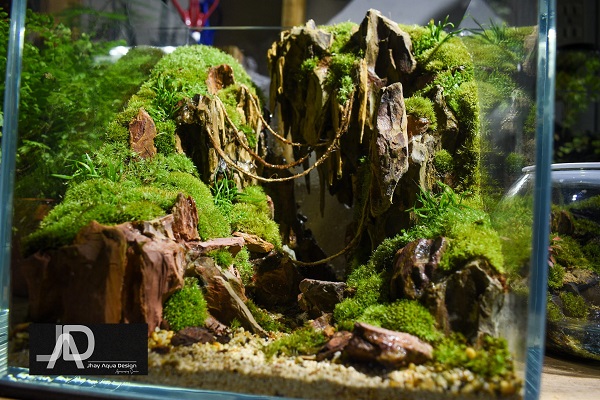Moss Terrariums - Source: Jhay Aqua Design