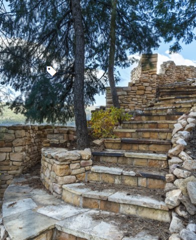 Pine trees provide shade to the staircase next to it