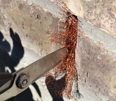 Placing mesh in cracks makes it harder for pests to create another holes