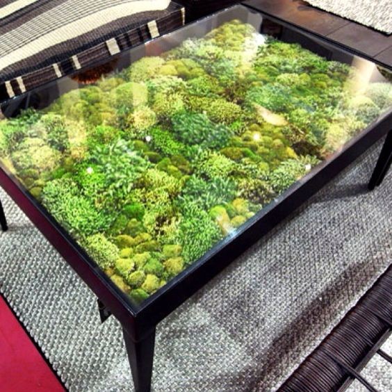 Table moss garden