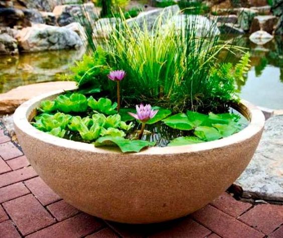 The salt and pepper texture of the stone bowl 
matches the brick pavement of the yard.
