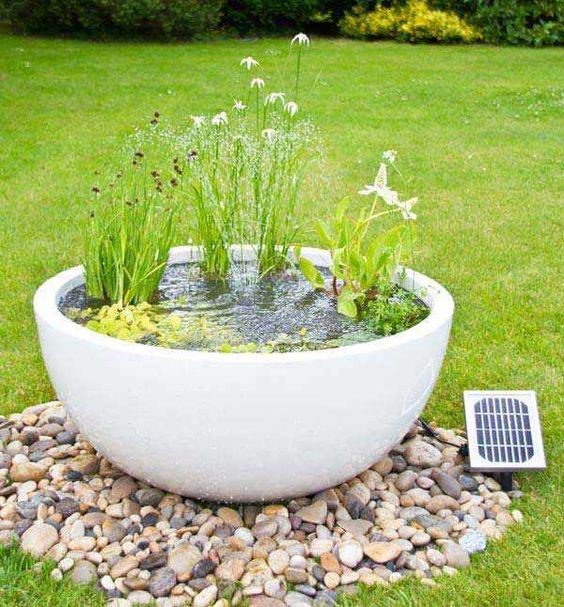 The white color of the stone pot allows the 
container water garden to stand out on the lawn.
