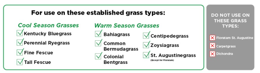 This weed and feed brand does not apply to the following grass varieties