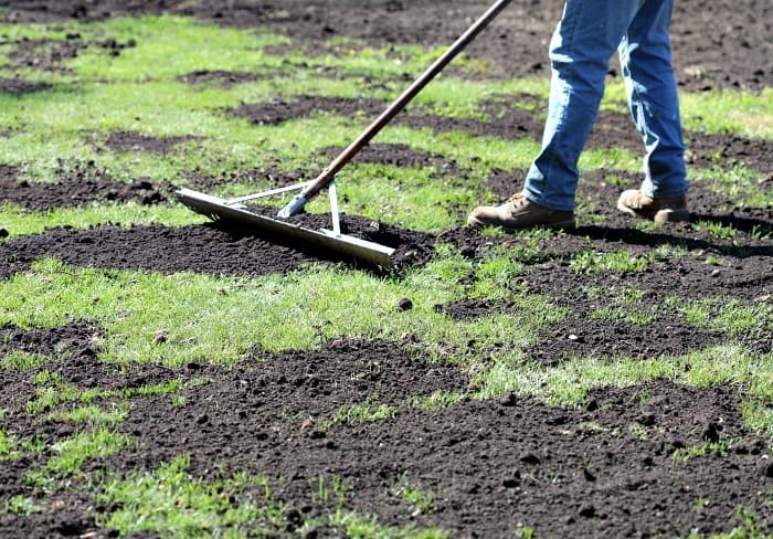 Topredressing lawn with compost