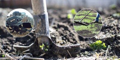 How To Improve Clay Soil For Lawns and Yards