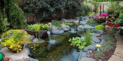 33 Water Garden Ideas For A Tranquil Outdoor Design